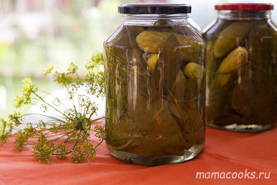 Как засолить огурцы в банке на зиму?