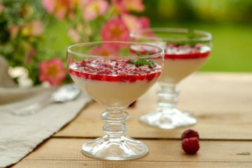 домашняя панакота